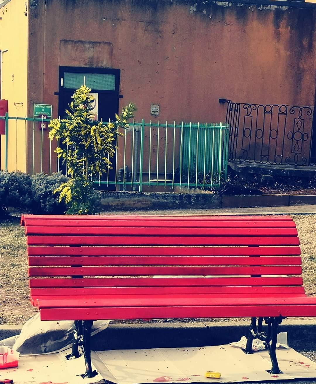 panchina rossa