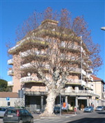 La "Plata"