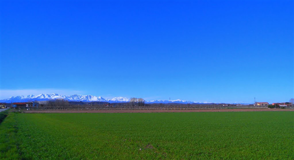 Cigliano